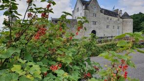 No plans to fly tricolour at Parke's Castle