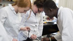 Significant milestone as go-ahead given for new campus at Cavan Institute