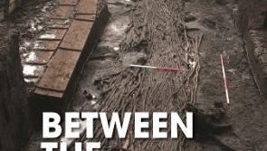 'Between the Meadows': the archaeology of Edercloon on the N4 Dromod-Roosky Bypass 