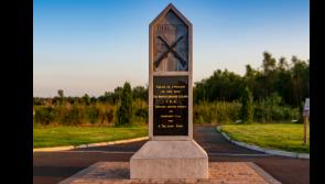 The North Longford Flying Column: The Clonfin Twenty-one