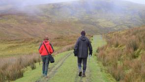 Leitrim's Arroo trail remains closed to walkers