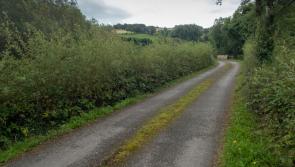 Hard to convince people to pay for public roads in Leitrim