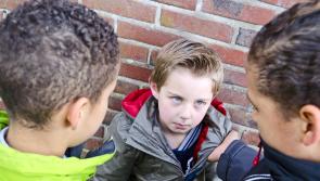 Minister Foley invites views on the 'Action Plan on Bullying'