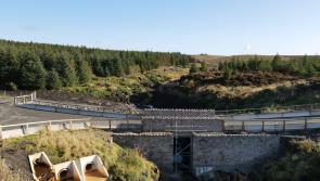 Gallery: Pictures of newly constructed Dawn of Hope bridge