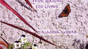 New book about living lightly, set in Leitrim