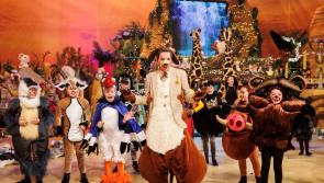 'Roaring success' - Toy Show appeal raises more than €6.6m for Irish charities