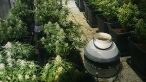 Court appearance following the seizure of €97,000 of drugs in Cavan