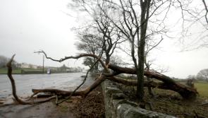 ALERT: Leitrim issued Status Orange 'severe weather warning' by Met Éireann