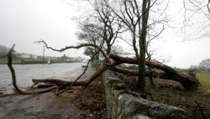 Met Éireann issues status yellow wind warning for Leitrim 