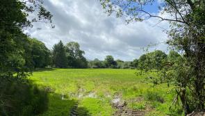 Free talk on Irish hedges and CAP in Leitrim