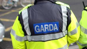 Gardaí confirm five road deaths in four separate collisions in past week