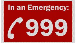 Minister must establish independent investigation into 999 calls - Martin Kenny TD