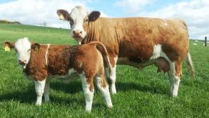 Extension of closing date for the Organic Farming Scheme to  December 15