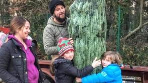 Ten tips for a sustainable Christmas in Leitrim