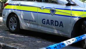 Update | Gardaí complete Ballinagh search and appeal for dashcam footage in Kevin Lunney assault investigation