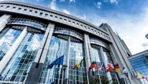 17 candidates in the European election 
