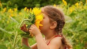 Dry your eyes and survive hay fever season!