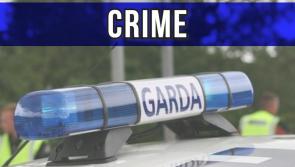Gardaí appeal for witnesses after stolen car connected to spate of midlands robberies found in flames