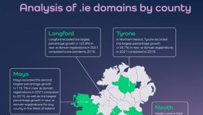 Did you set up a website during the pandemic? Leitrim's online presence grows