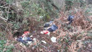 50 bags of household rubbish dumped on Leitrim roadside