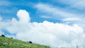 New link road mooted to connect north and south Leitrim