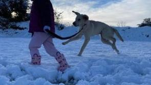 Snow pics from Leitrim following Storm Eunice
