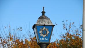 Gardaí appeal for witness to robbery after thieves use pepper spray to steal cash 
