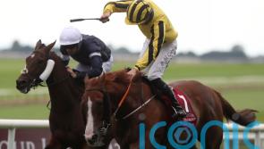 Johnny Murtagh pins hopes on Sonnyboyliston to floor opposition in Saudi Arabia