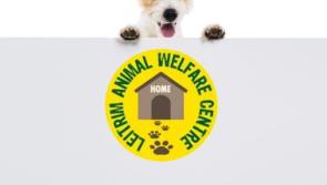 Leitrim Animal Welfare fundraising to build new office