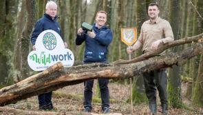 Wild Work initiative comes to Cavan