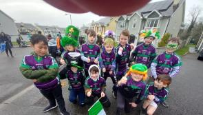 Gallery : St Patrick's Day parade in Leitrim Village