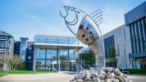 New Atlantic Technological University will deliver €700m to Ireland’s economy per year
