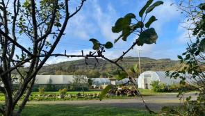 Organic Centre to host farming focus group this Saturday