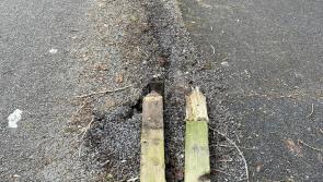 Gardai investigate damage at Lough Key Forest Park