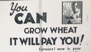 Grow more winter wheat in Leitrim - Agricultural advice given in the 1930s still relevant today
