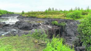 Deputy Harkin angered over delay with  compensation package for Leitrim farmers affected by Shass Mountain landslide 