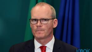 'Likely to be a war crime' - says Coveney of Russian invasion during trip to Ukrainian capital