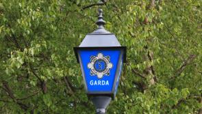 Woman arrested after garda from Kilmore sustains serious injuries in hit and run incident in County Limerick
