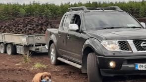 EXPLAINER: New rules on turf, coal, timber and other solid fuels