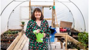 Thinking about returning to learning? AONTAS, Ireland’s Adult Learning Organisation, are here to help