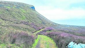 Charity Hill Walk and Ramble at Arroo, Glenade