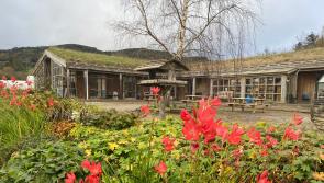 Apple Day Harvest Festival at the Organic Centre in Leitrim