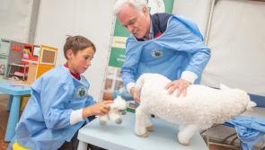 Leitrim children learn veterinary skills at 2022 National Ploughing Championships