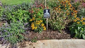 Manorhamilton's Remembrance Garden to be launched on October 10
