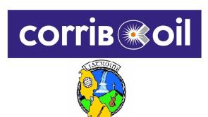 Lots of questions for intriguing Corrib Oil Junior Final as Carrigallen take on St Mary's