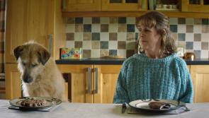 Rósie & Frank screening in Manorhamilton