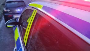Bad day for Longford motorist who  was arrested and had his car seized 