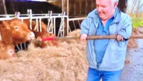 'We weren&rsquo;t expected to live to middle age' - Ireland's youngest thalidomide survivor turns 60