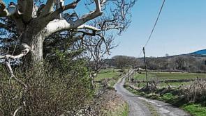 €304,000 announced for  LIS roads in Leitrim 
