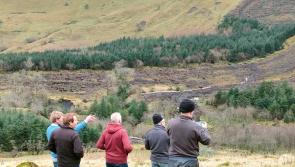 INHFA to hold rally on forestry in Leitrim